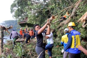 Warung di Telaga Sarangan Rusak Tertimpa Pohon Akibat Angin Kencang
