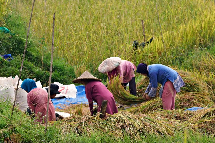 Gibran Tekankan Swasembada Pangan dan Penanganan Stunting dalam Retret Akmil Magelang