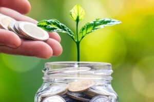 Apakah Zakat Mal Wajib Dibayar saat Ramadhan Simak Penjelasan Lengkapnya!