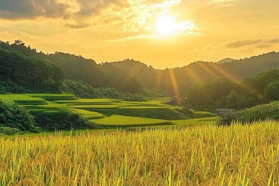Cuaca Jawa Tengah Hari Ini 10 Maret 2025 Berawan dengan Potensi Hujan di Beberapa Wilayah