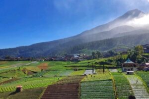 Keindahan Wisata Tawangmangu Surga Alam di Lereng Gunung Lawu