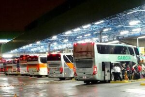 Mudik Gratis PLN 2025 Syarat, Jadwal, Rute, dan Cara Pendaftaran!