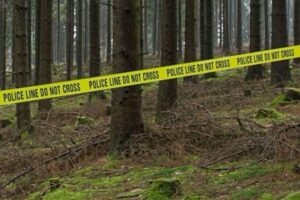 Patroli Gabungan Pastikan Eks Ladang Ganja di TNBTS Lumajang Bersih dari Aktivitas Ilegal