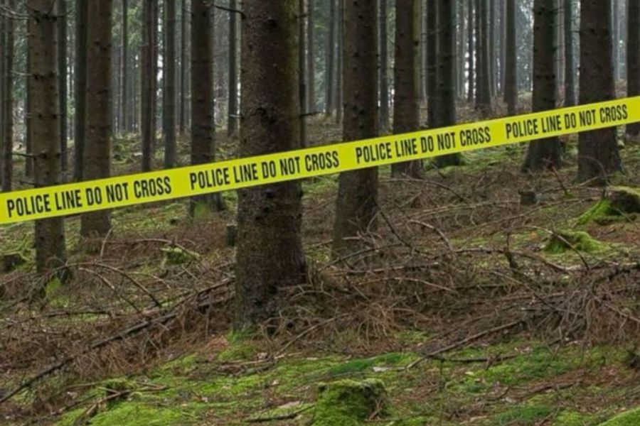 Patroli Gabungan Pastikan Eks Ladang Ganja di TNBTS Lumajang Bersih dari Aktivitas Ilegal