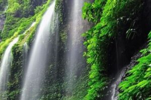 Penyebab Percekcokan di Wisata Grojogan Sewu Lumajang Terungkap, Bupati Tutup Sementara