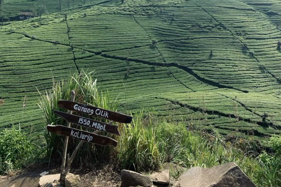 Menjelajahi Pesona Gunung Cilik: Destinasi Alam yang Wajib Dikunjungi