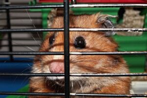 Tiga Tersangka Kasus Korupsi Dana Hibah Jembatan di Sampang, Polda Jatim Terus Kembangkan Penyidikan