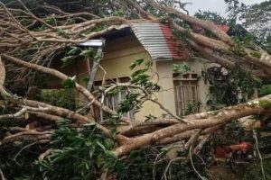 Tragedi Longsor di Brebes Seorang Petani Hilang, Sawah Tertimbun Material Tebing