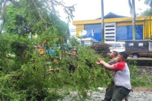Tragedi Pohon Tumbang di Pemalang Saat Salat Idul Fitri, Dua Korban Dimakamkan Hari Ini