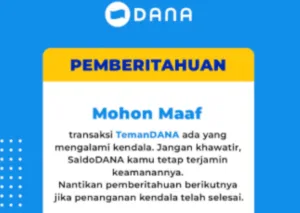 DANA apa masih error hari ini? Simak penyebab tidak bisa transaksi mulai transfer, QRIS, dan pembayaran online gagal. (x.com/@danawallet)