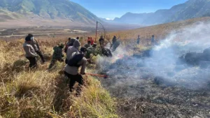 Foto tim gabungan melakukan pemadaman api di kawasan Gunung Bromo. (Istimewa)