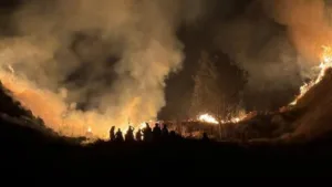 Seluruh akses wisata Gunung Bromo ditutup mulai 8 Agustus 2026 setelah kebakaran di Kaldera Bromo meluas hingga 176 hektare. (Istimewa)