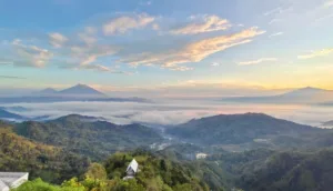 View Desa Wisata Nglinggo Kulon Progo dari atas. (Foto: GMaps/Paul Basuki)