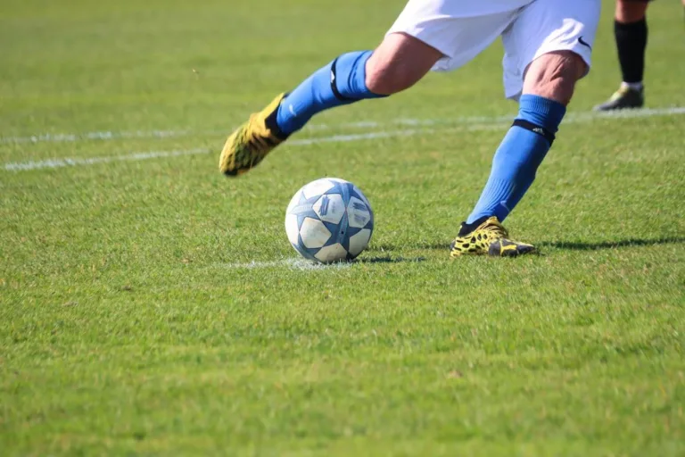 Jawaban Trivia FC Mobile 26 Numero hari ke-19 tentang kata kunci paling tepat menggambarkan pemain nomor 10 dalam sepak bola. (Foto Pixabay/PlanetFox)